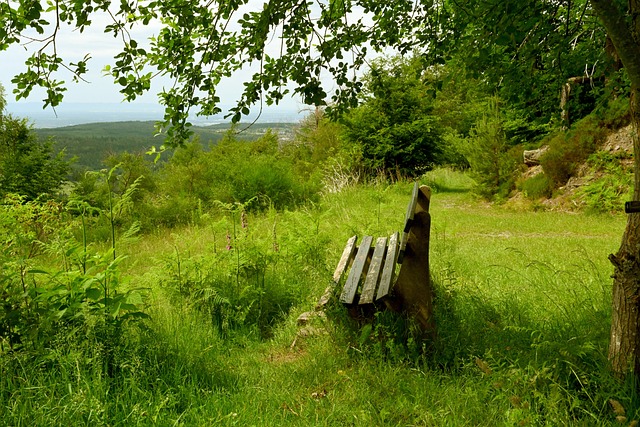 更是足球界 更是足球界