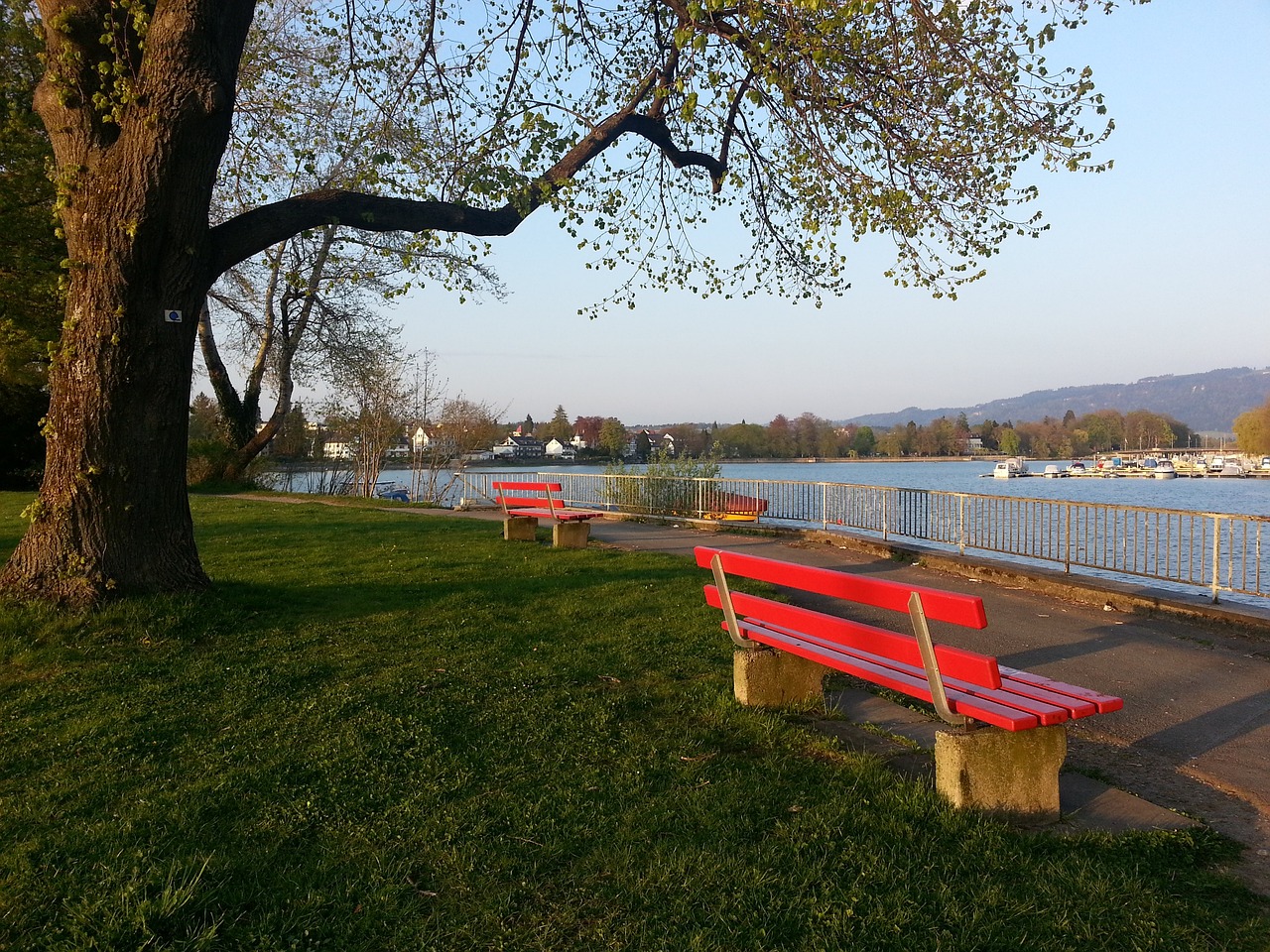 这成为湖人 这成为湖人