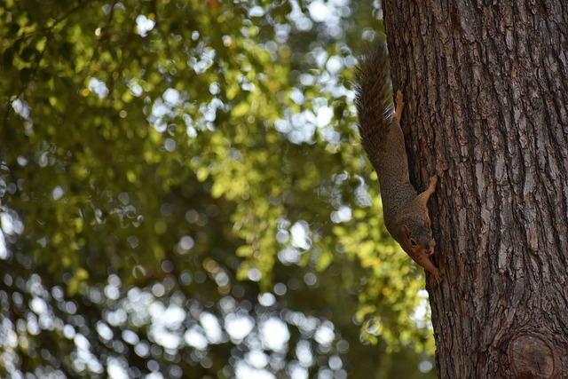 的潜力无可 的潜力无可
