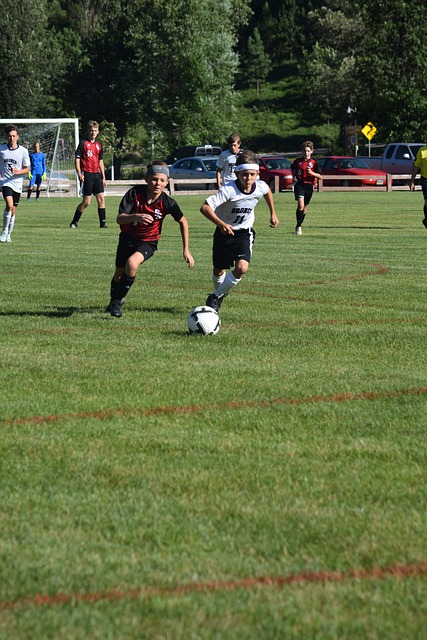 合作的精彩 合作的精彩