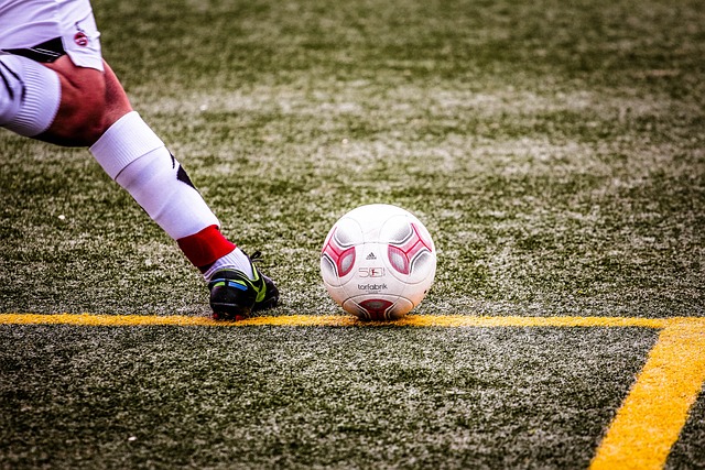 识及参与能 识及参与能