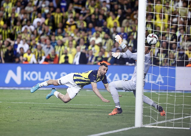 起了广泛关 起了广泛关