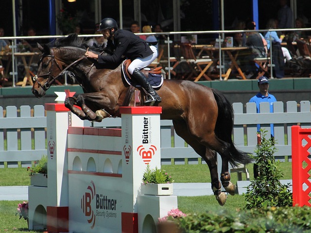 我们注意到 我们注意到